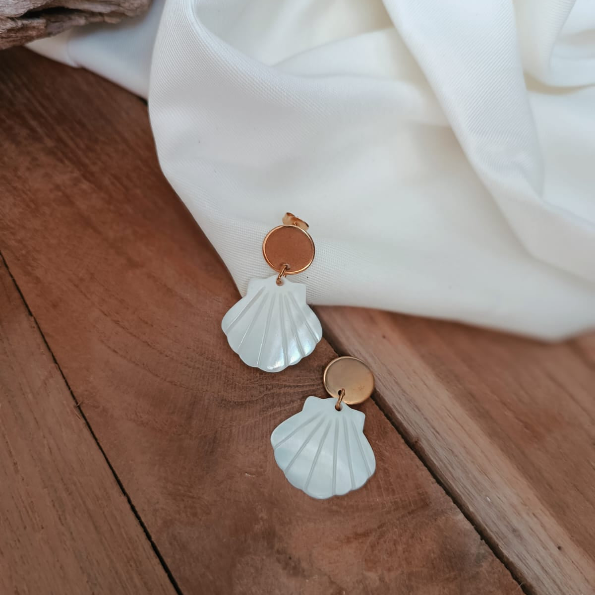 Coquillage Pétoncle