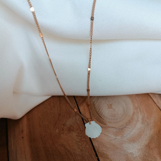 Coquillage Collier